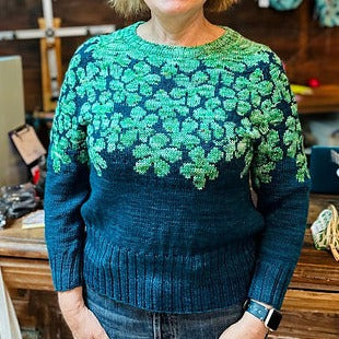 Fancy Colorwork Pullover Class
