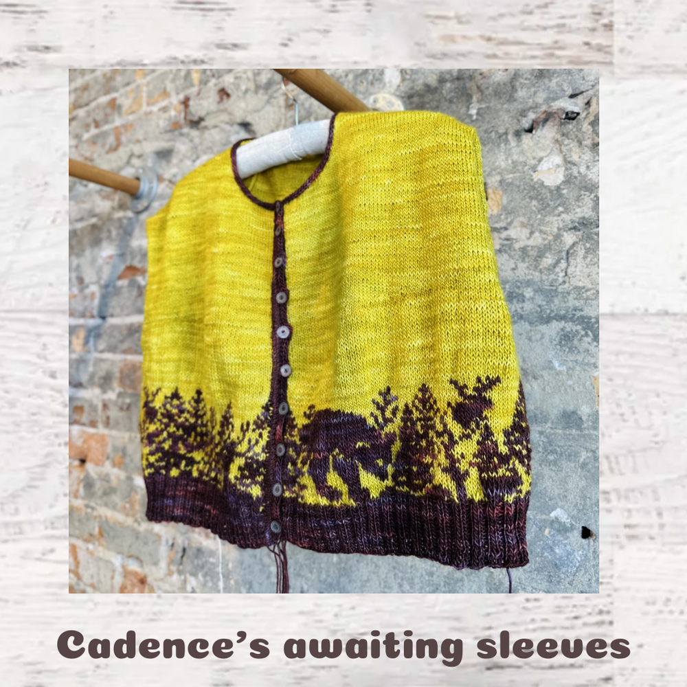 Woodland Cardi Class Oct 11 & 25, Nov 8, Dec 6 & 20, Jan 3