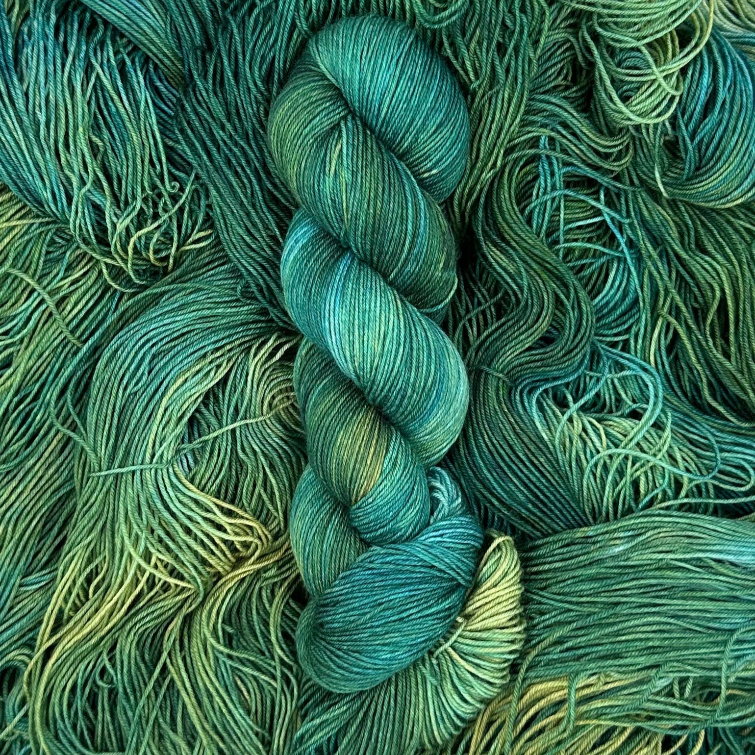 #color_beast-of-busco