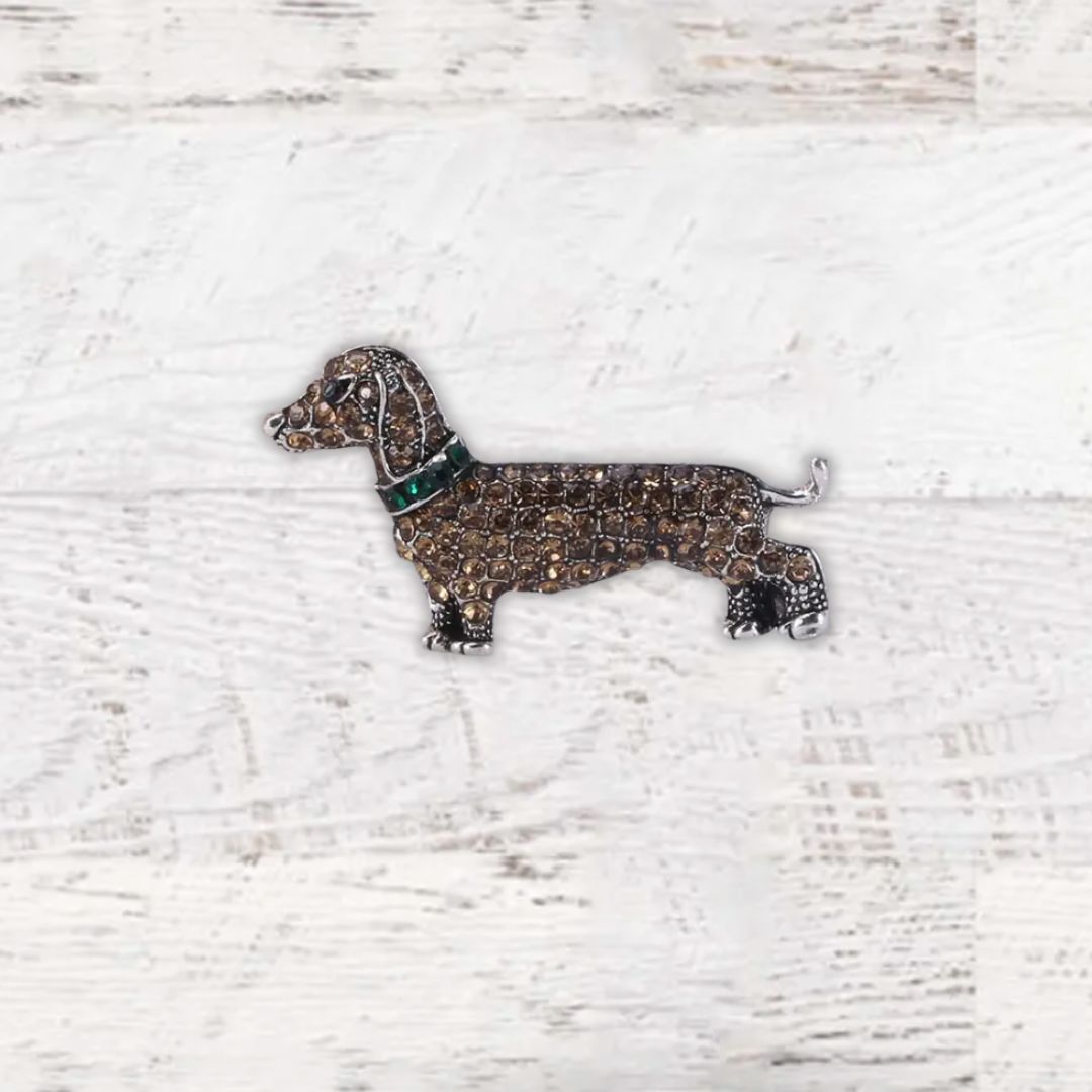 #color_dachshund