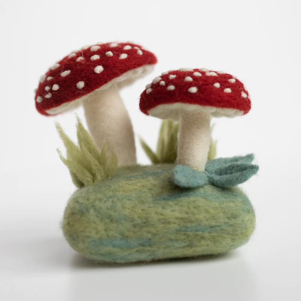 #color_forest-toadstools