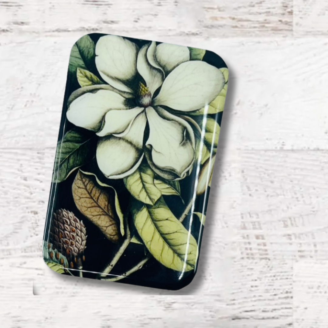 #color_magnolia-large