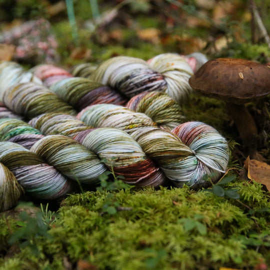 #color_mushroom-bsy