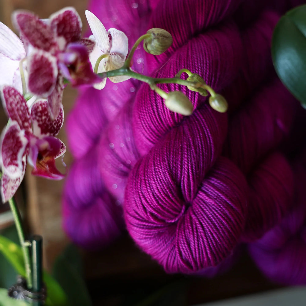 #color_orchid