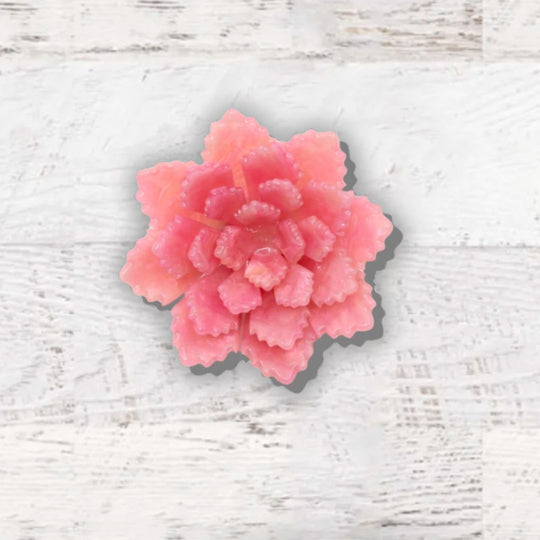 #color_pink-peony