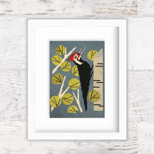 #color_woodpecker-in-aspen
