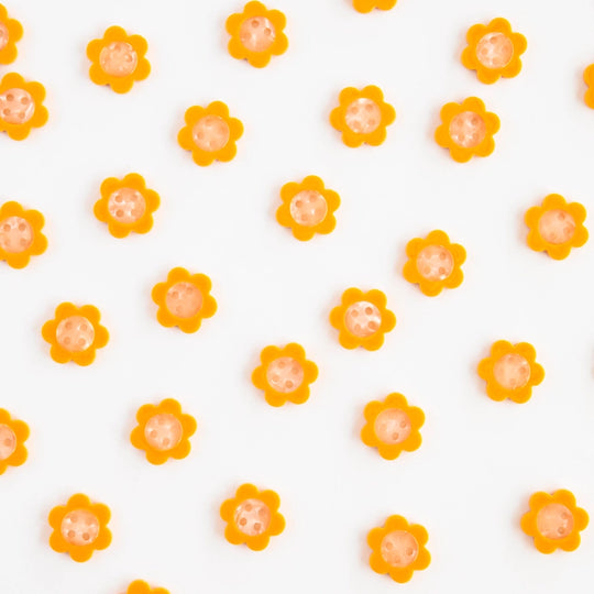 #color_yellow-daisy-small