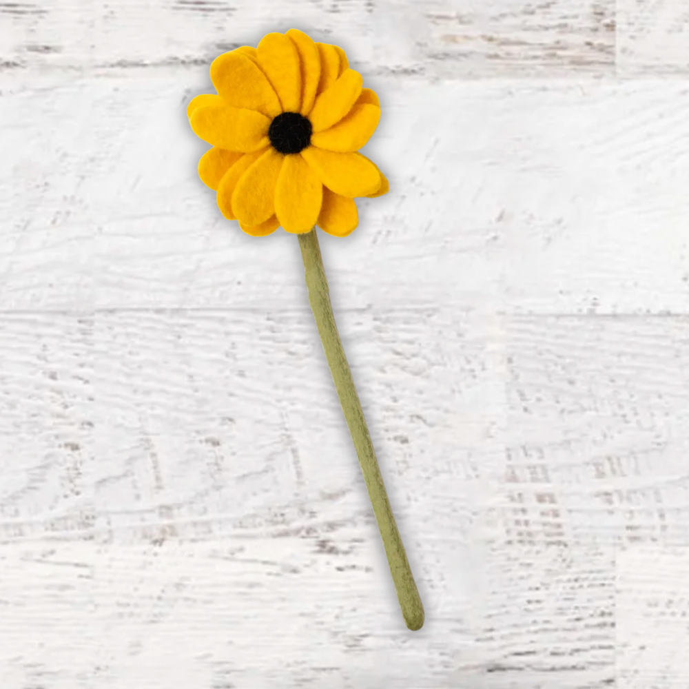 #color_yellow